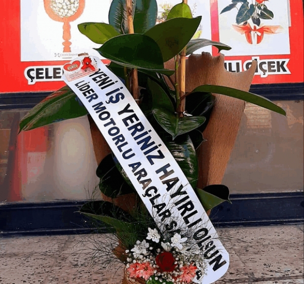 Kauçuk Çiçeği 2'li