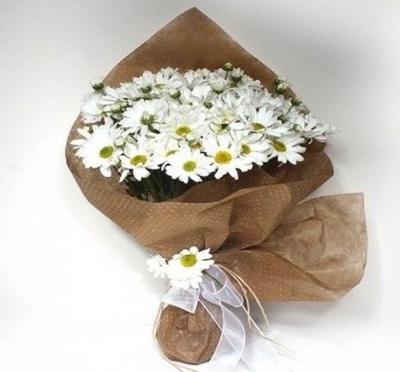 Papatya Demeti Özel Yapım