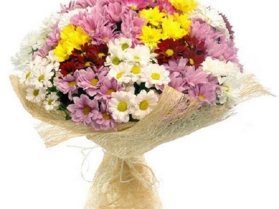 Karışık Mevsim Çiçeği